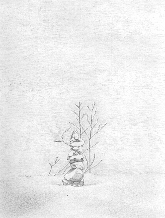 feb2b22a.jpg (96427 bytes)